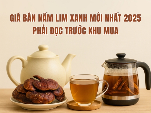 Giá nấm Lim Xanh Quảng Nam: Cập nhật chi tiết và hướng dẫn chọn mua đúng chuẩn